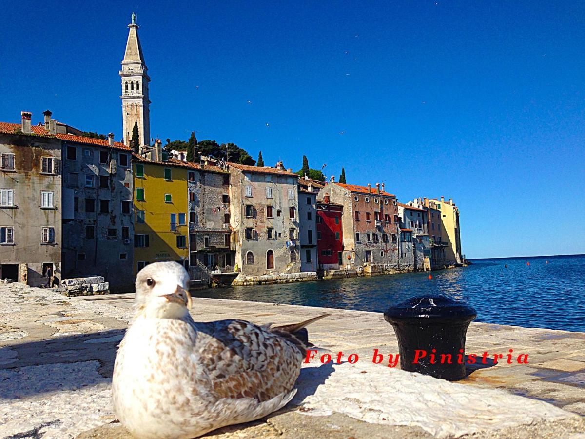App Milija Apartment Rovinj Exterior photo